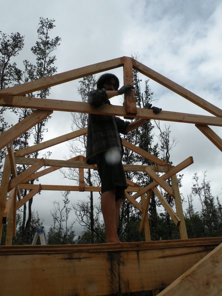 putting up roof strusses
